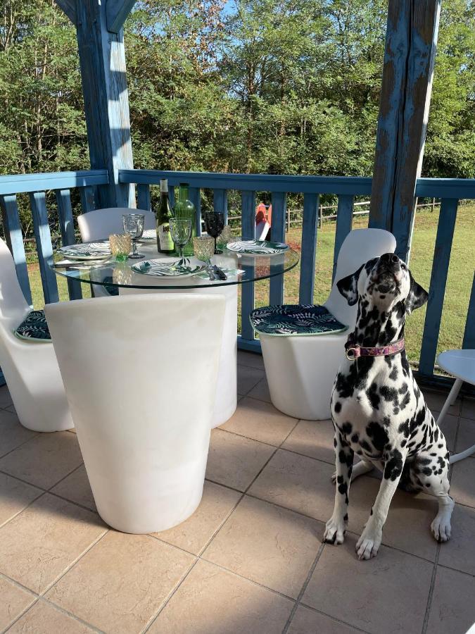 *A Setting Between Dordogne And Swimming Pool* Apartman Argentat Kültér fotó